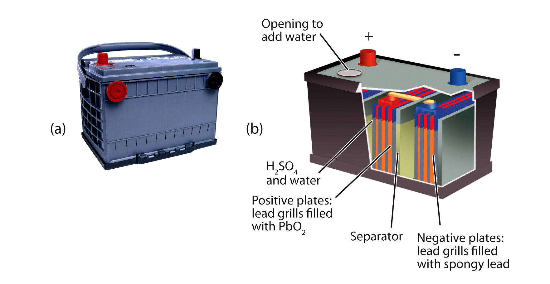 A Battery's Components